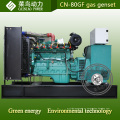 Motor de la energía verde precio bajo del generador de gas natural 80kw